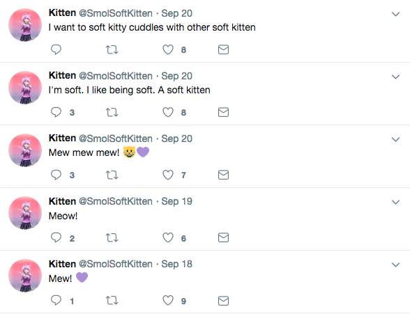 twitter-cat.png