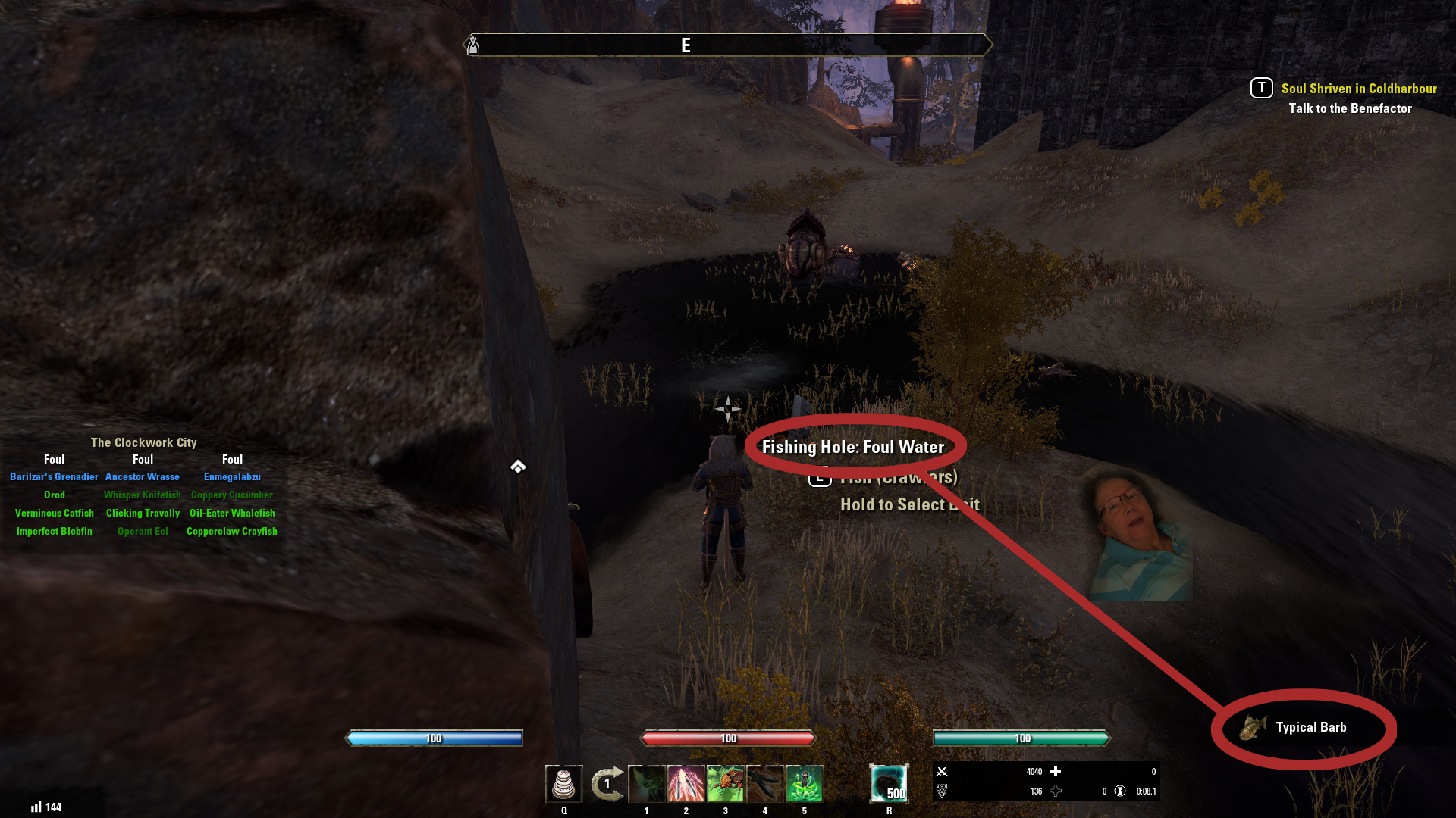 typical_barb.png