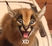 unknown-75.png