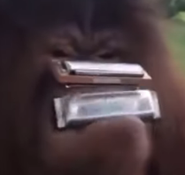 unknown.png