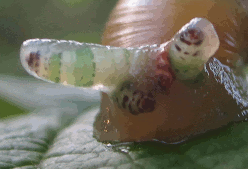 unnamed.gif
