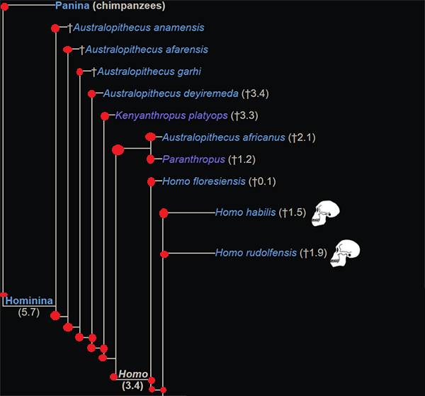 Untitled-2.png