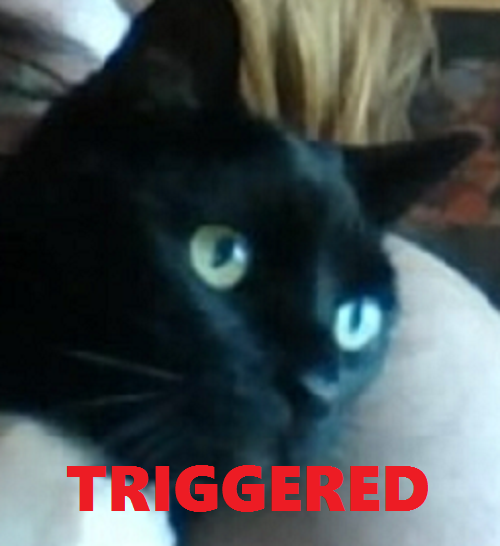 Untitled2.png