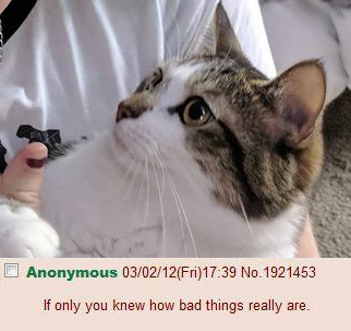 Untitled235.png