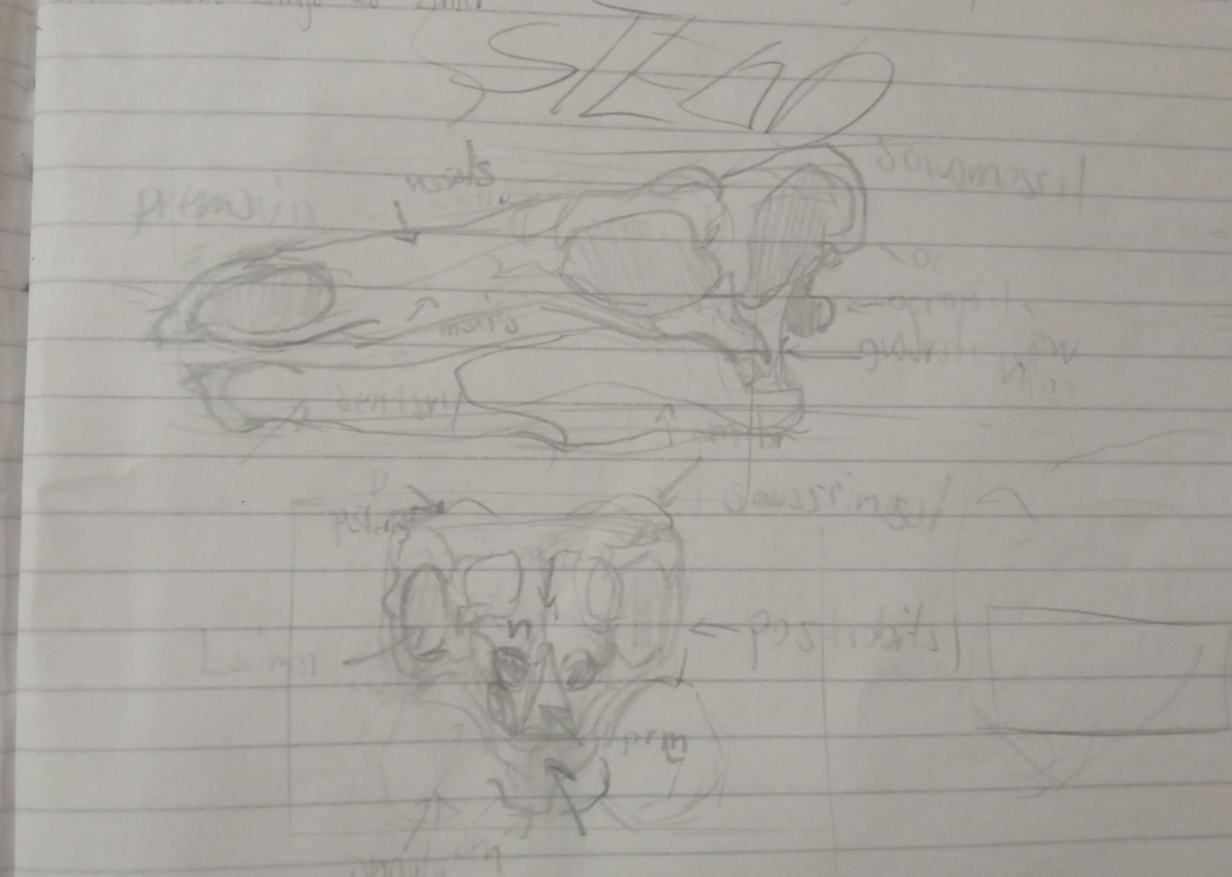 Untitled31.jpg