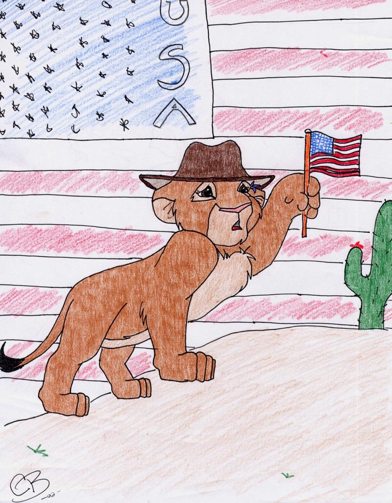 USA.jpg