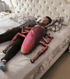 uu.gif