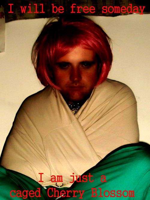 UUVSEHEX5O7EYLIK7VLROLDZ2CC4UAHZ.preview.jpeg