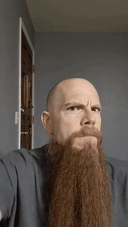 ValidVigilantHoneycreeper-size_restricted.gif
