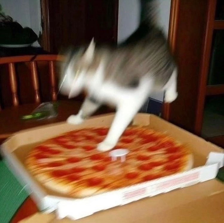 vbPyhs_G.jpg
