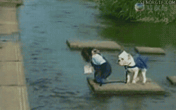 VdhG.gif
