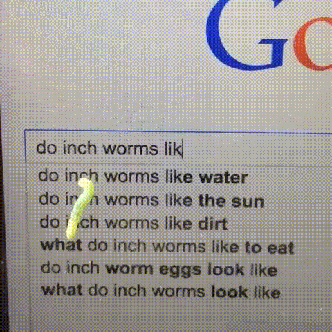 vfdfffd.gif
