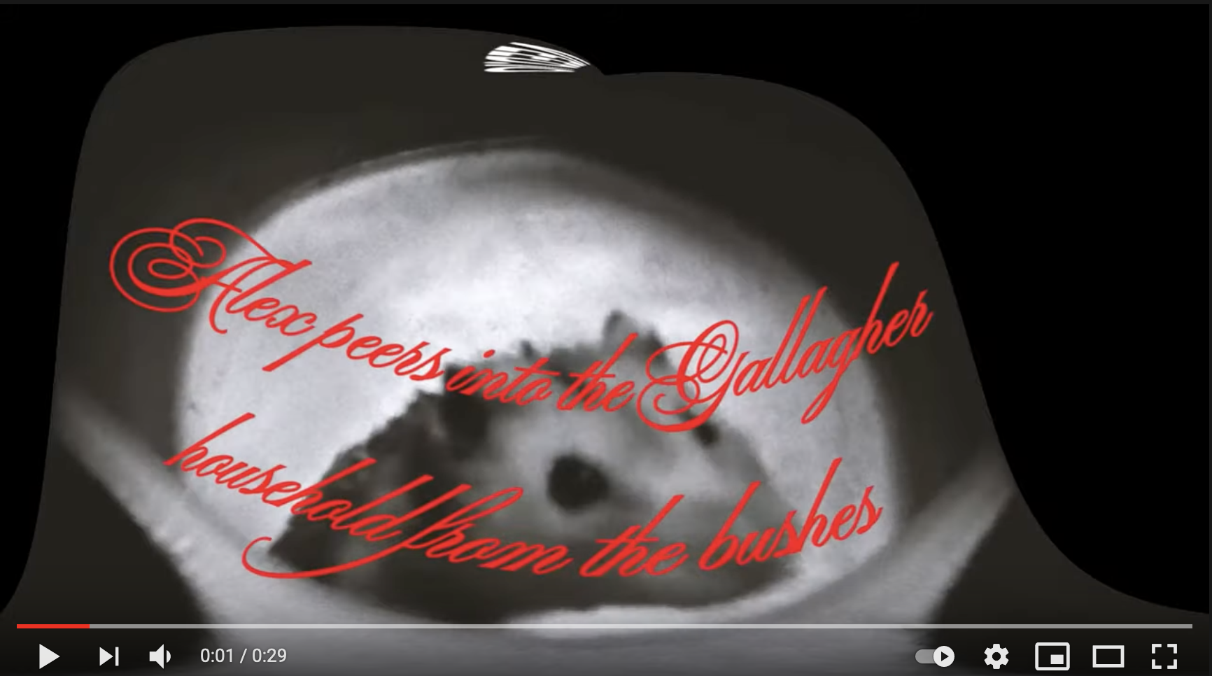 video 1.png