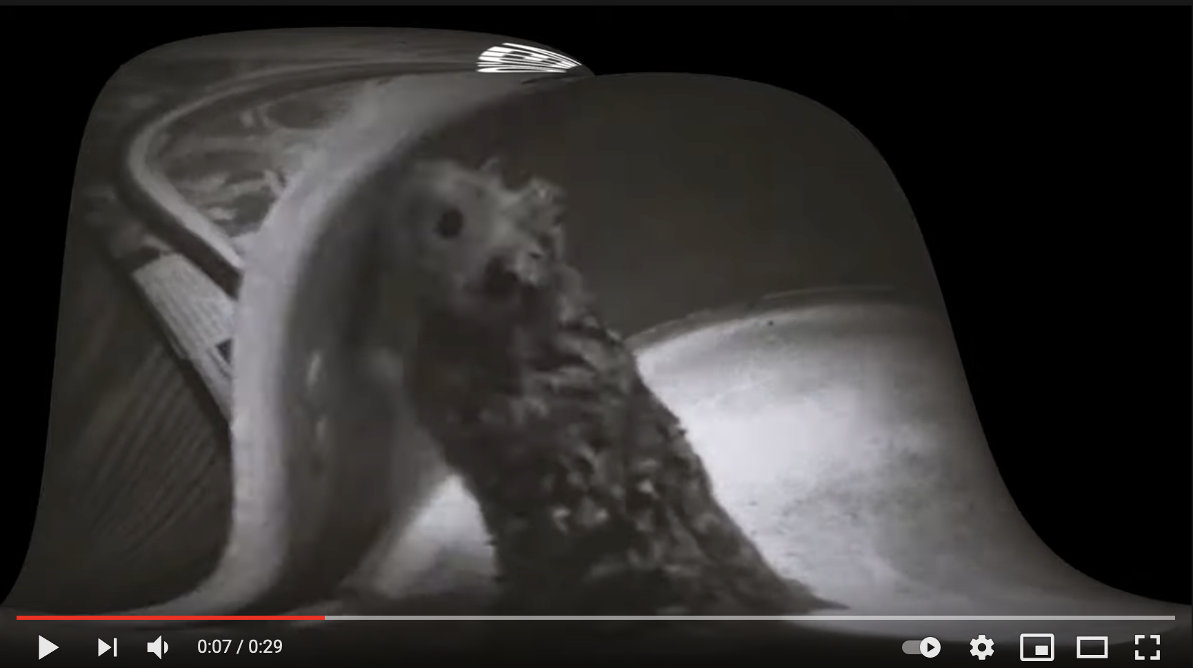video 2.png
