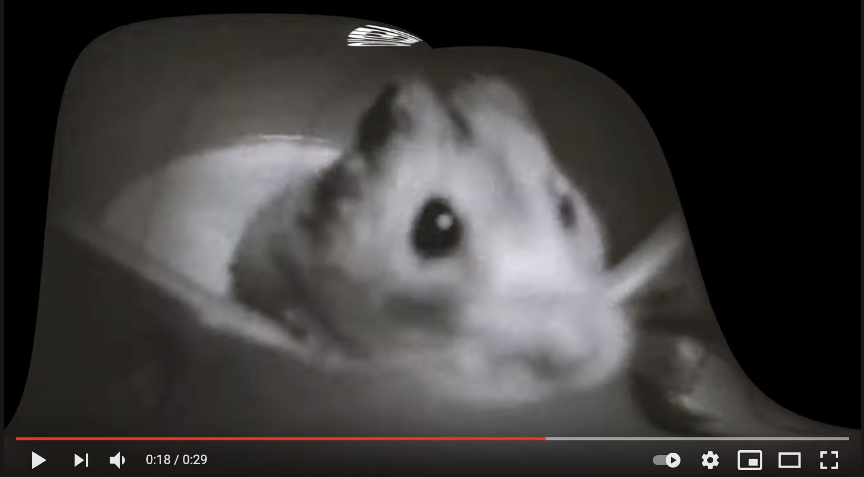 video 3.png