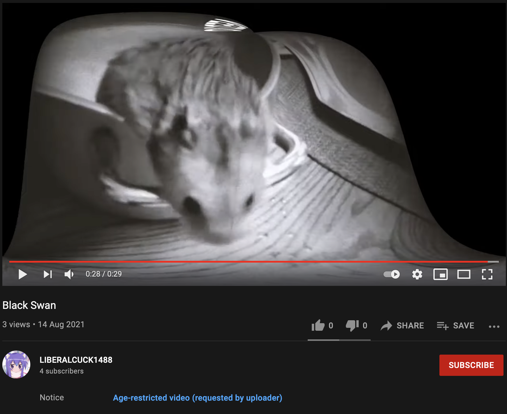 video 5.png