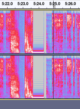 vince_audio_spec_02_a_censor_beep.png