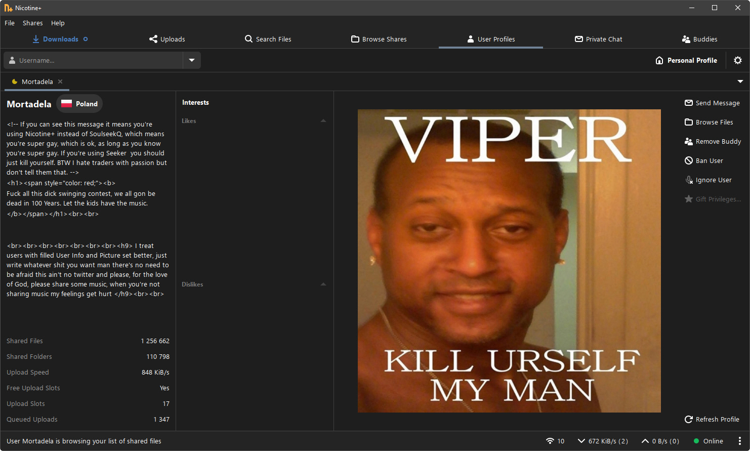 viper.jpg