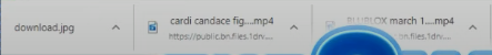 vivaldi_iibaL4ShgD.png