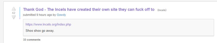 voatevenevilhasstandards.JPG