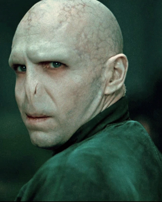 Voldemort_Info.png