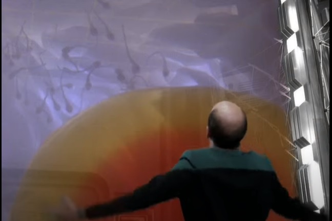 voy.jpg