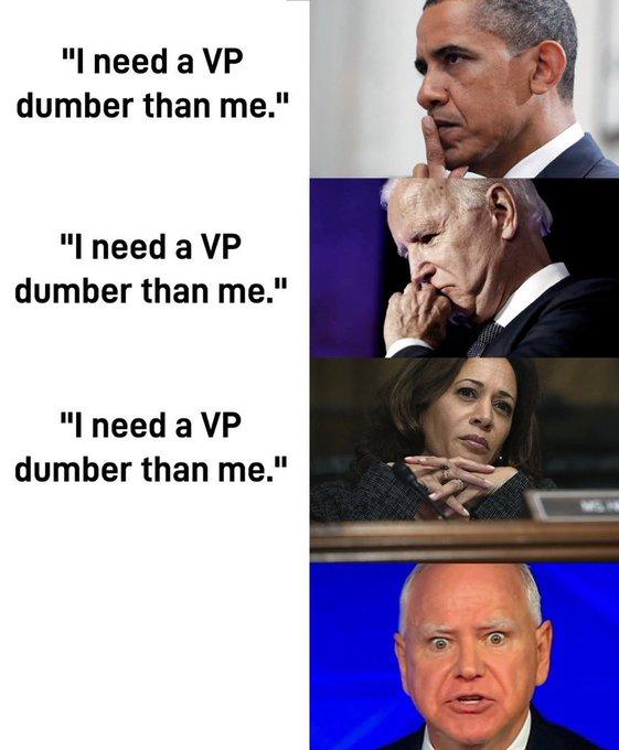 vpdumber.jpeg