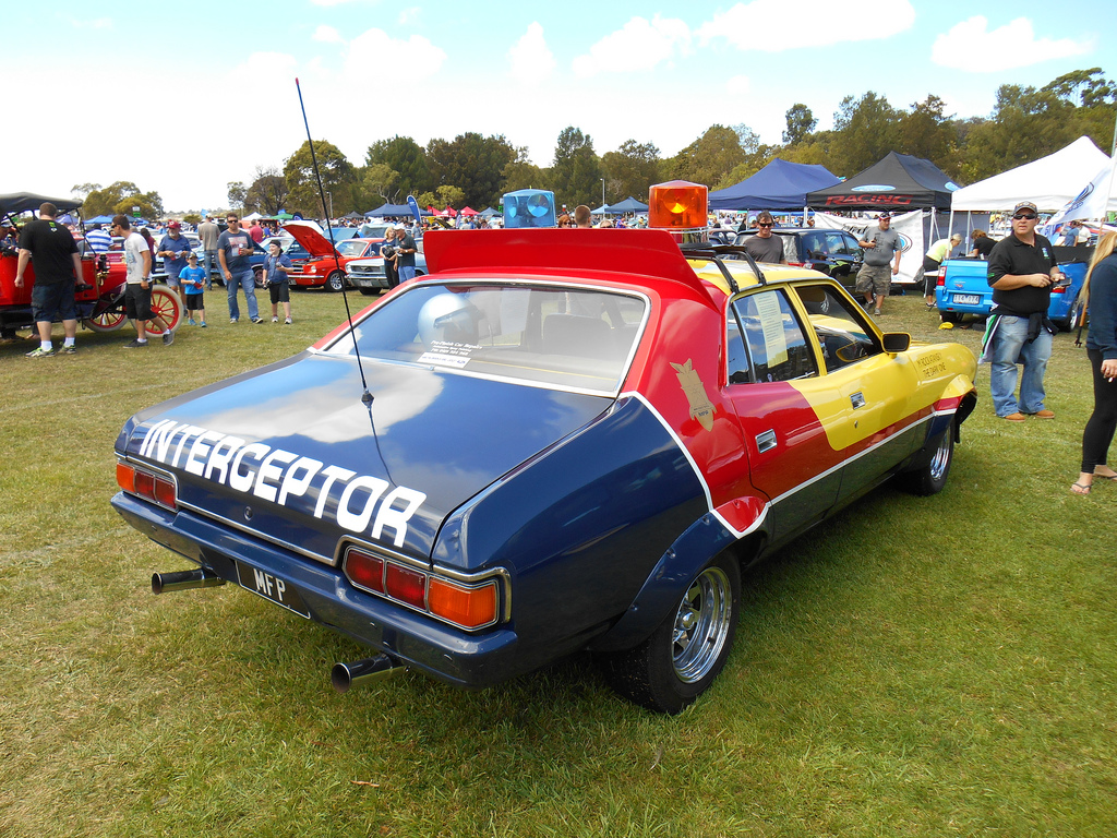 W100.jpg