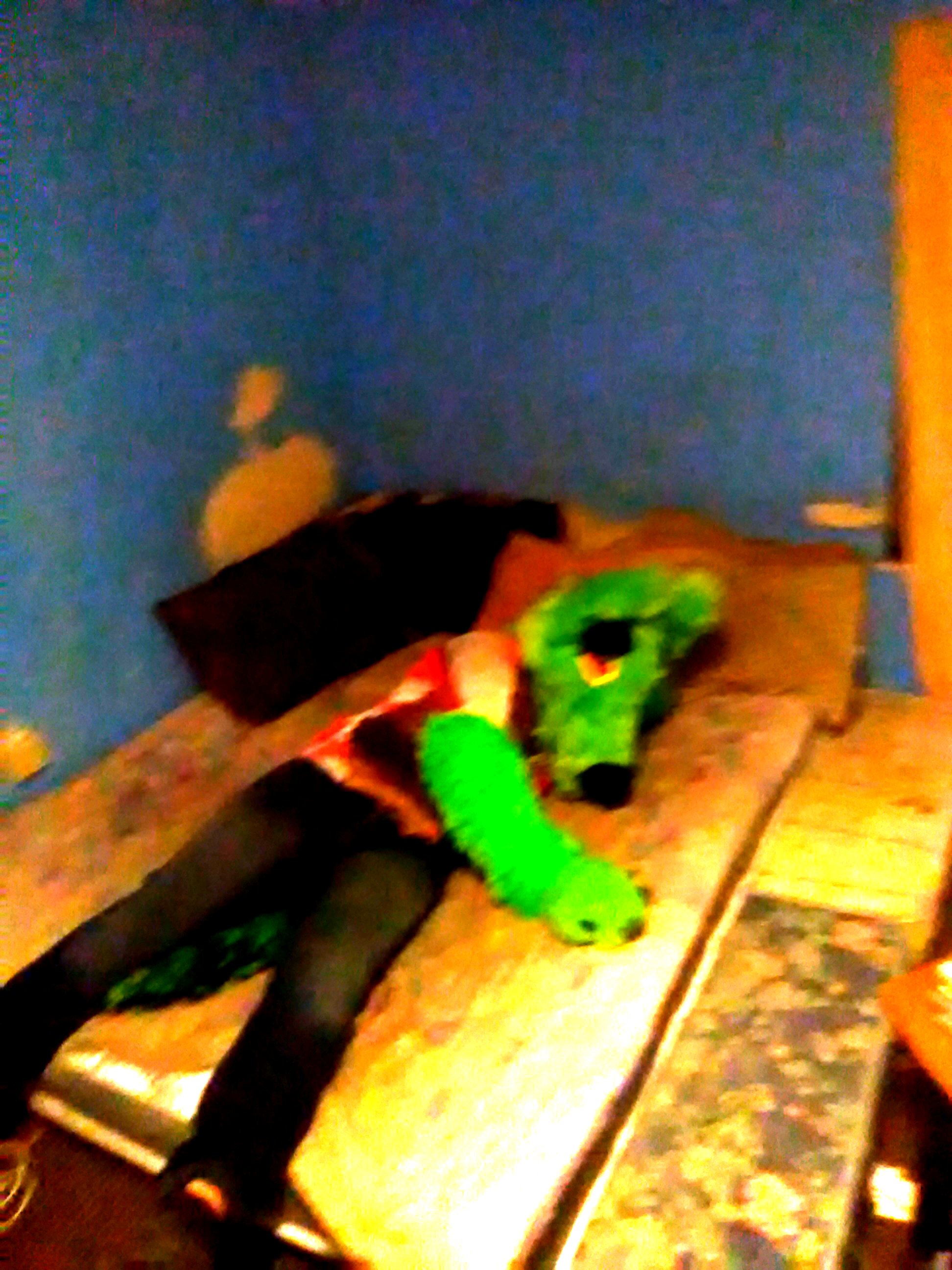 w2.jpg