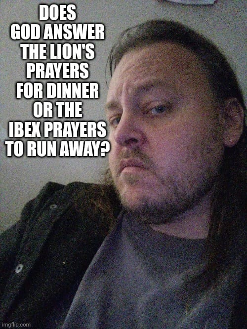 w5.jpg