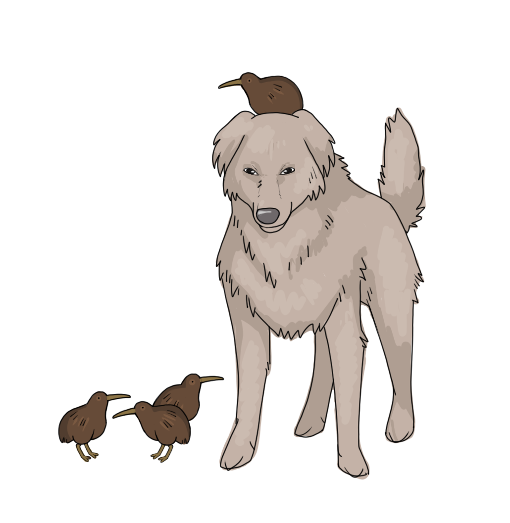 waf.png