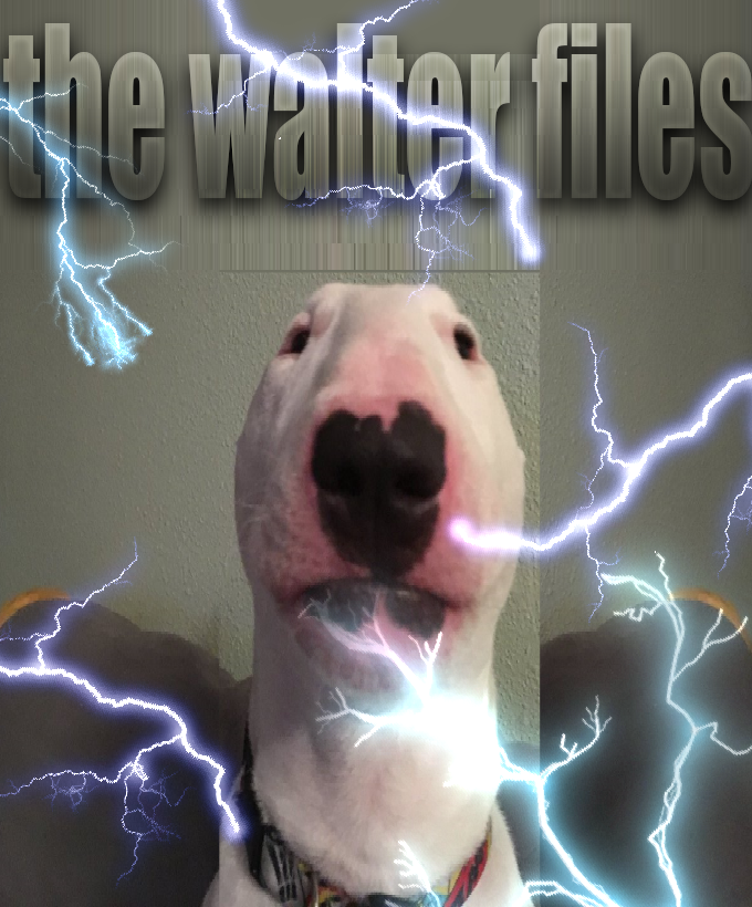 walterfiles.png