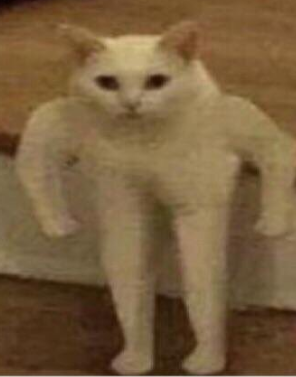 watch_it_buddy.png