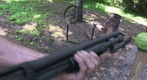 watermelon shotgun.gif