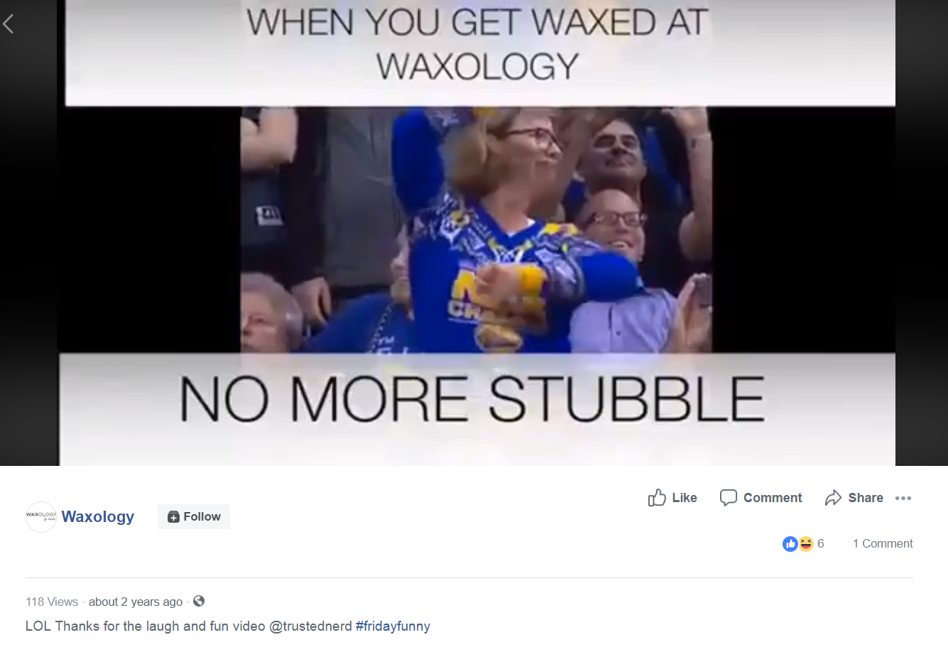 waxology.png