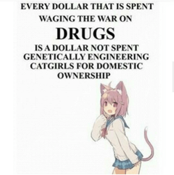 wDTgRp8.png