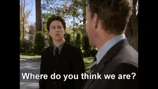 WDYTWA.gif