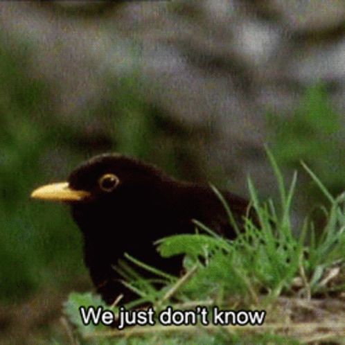 we just dont know.gif