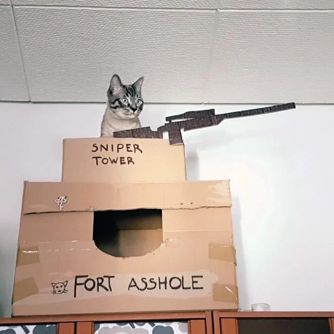 weaponized toxic felinity.png