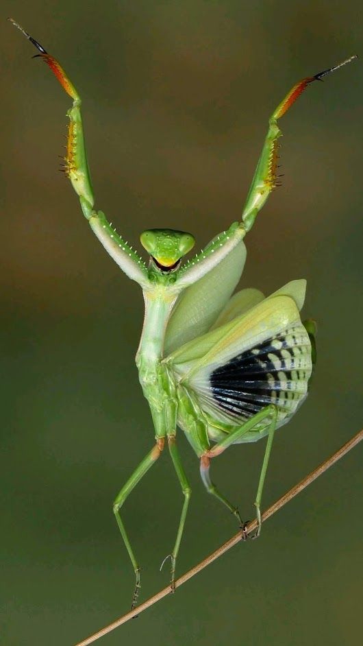 weeeeeee.jpg