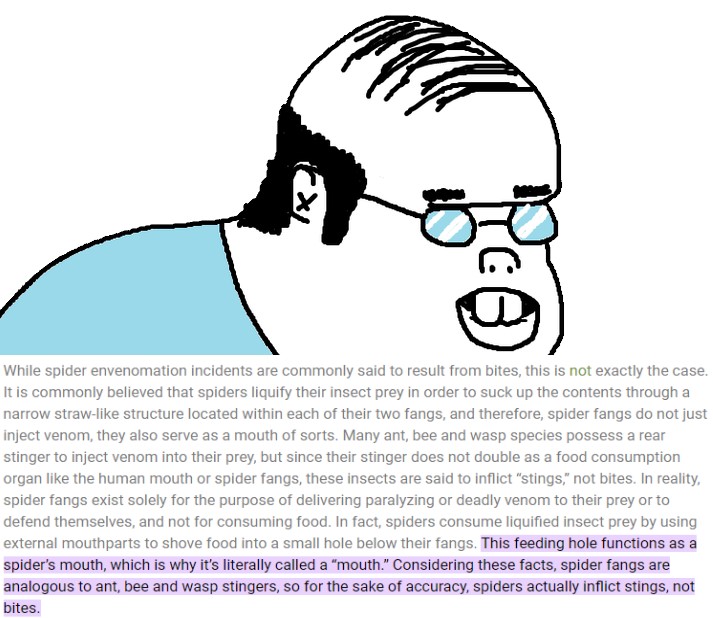 weggwe.jpg