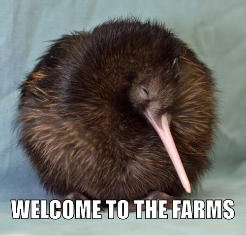 WelcomeKiwi.png