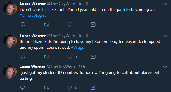 wern2.png