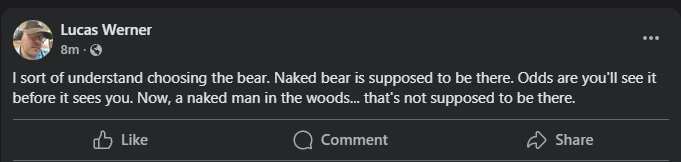 wernbear.webp