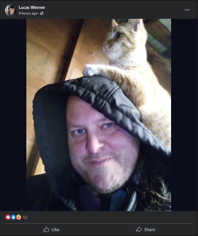 werncat.jpg