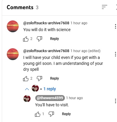 werncomments1.jpg