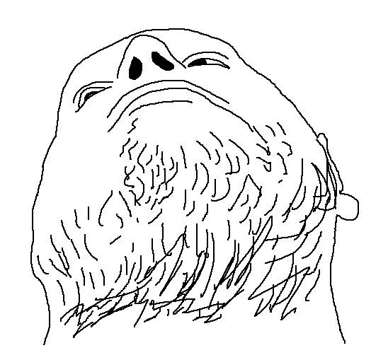 werner.png