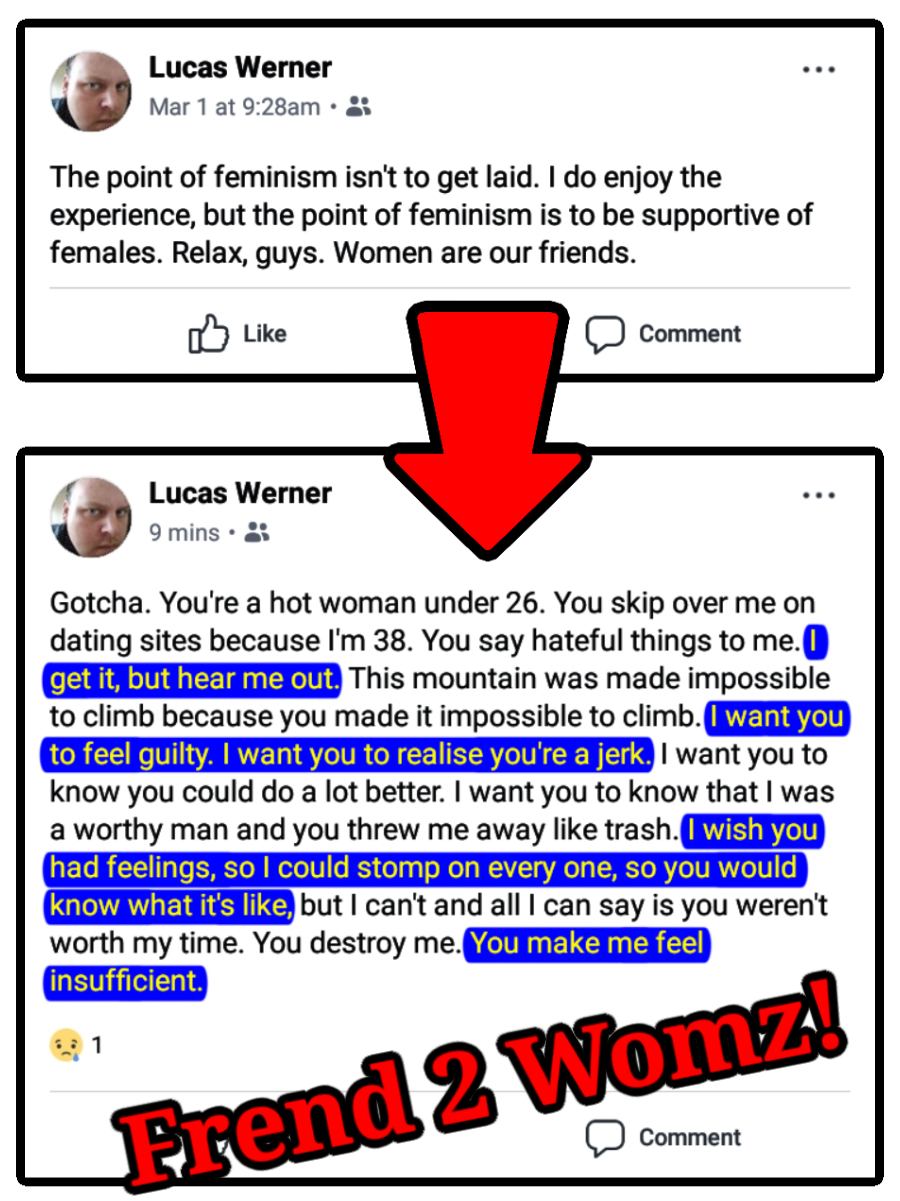 wernerhateswomz.png