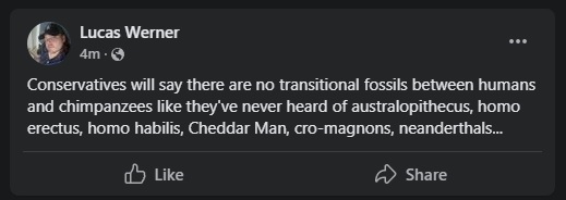wernfossils.jpg