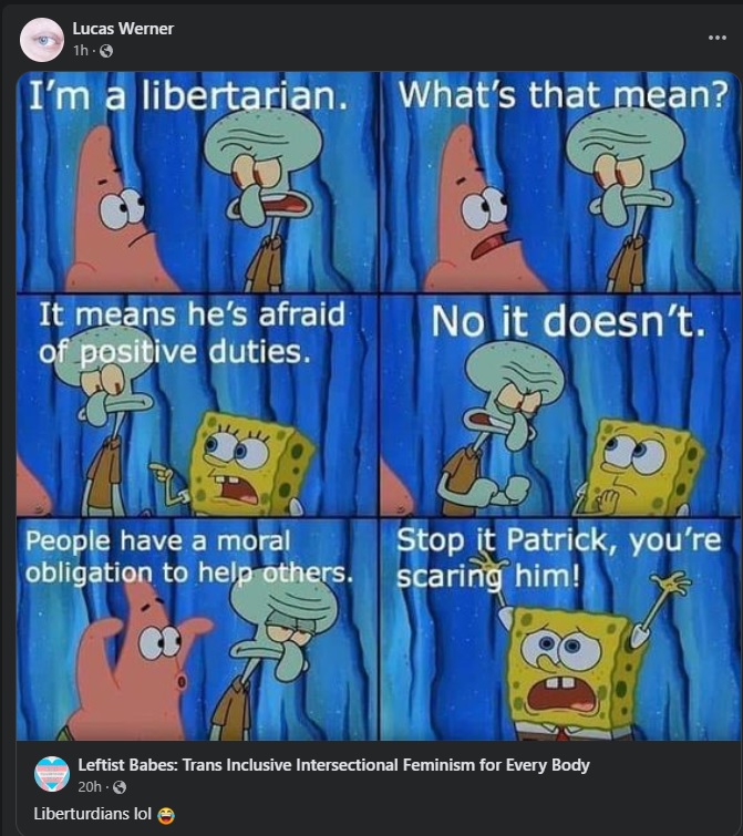 wernlibtroon.jpg